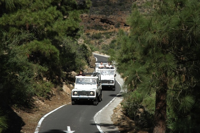 Escursione Teide e il parco nazionale masca con il 4x4