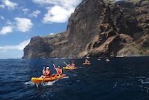 Cetacean watching & kayaking at los gigantes cliffs and masca