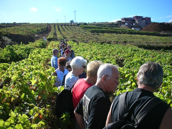 Ausflug Guided tour + wine tasting at the bodegas monje winery
