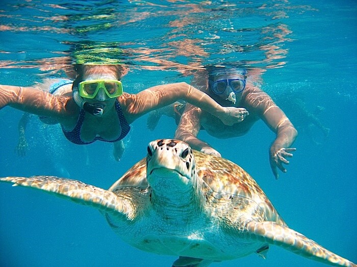 Escursione Swimming & snorkeling with turtles