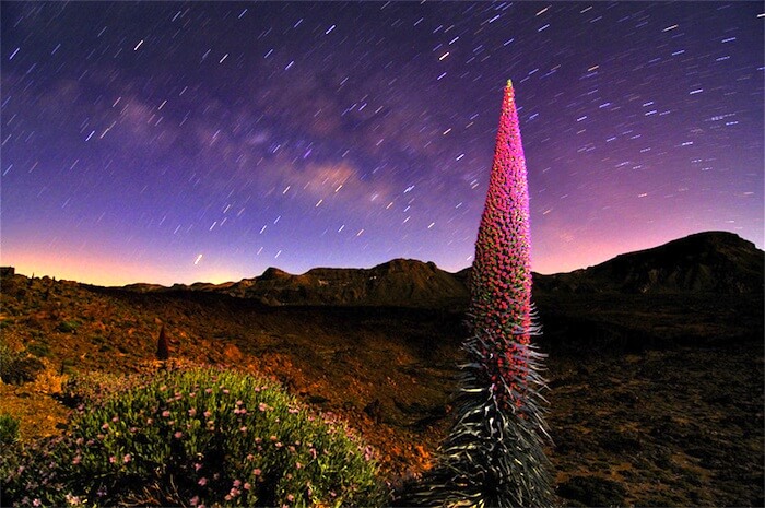 Экскурсия Изучение звездного неба в национальном парке тейде ночью